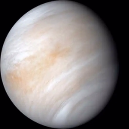 Venus